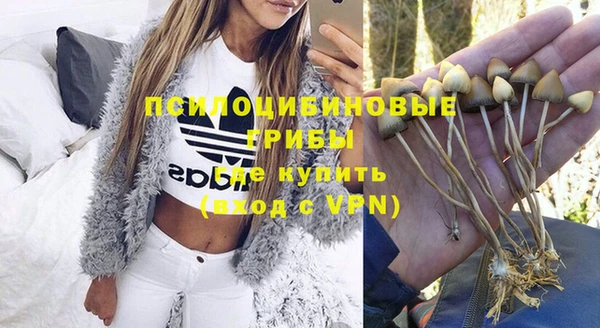 МДПВ Россошь