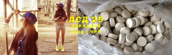 spice Богородицк