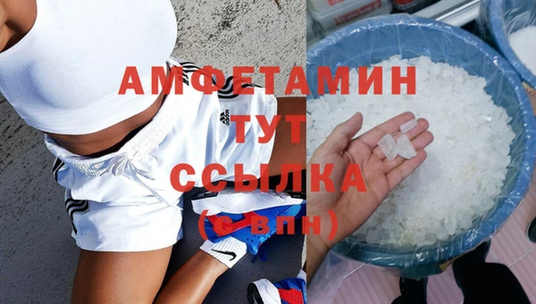 индика Богданович