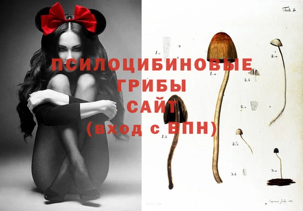 COCAINE Бронницы